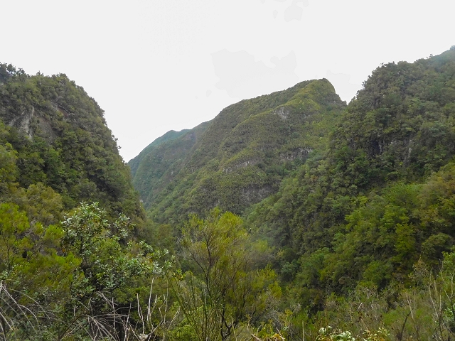 25 de agosto de 2017 Na Vereda Pau Branco de Ginjas a Estanquinhos — Na Levada do Plaino Velho até à Madre — foto 21