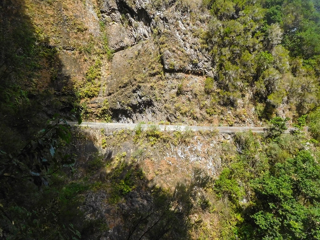 25 de agosto de 2017 Na Vereda Pau Branco de Ginjas a Estanquinhos — Na Levada da Faja do Rodrigues até ao desvio da Vereda Pau Branco — foto 6