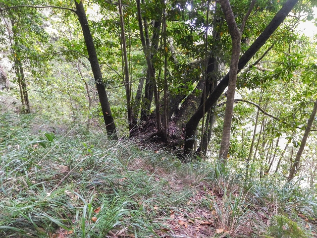 25 de agosto de 2017 Na Vereda Pau Branco de Ginjas a Estanquinhos — Até à Madre da Levada dos Pombais inf e de volta ao caminho para a levada de cima — foto 2