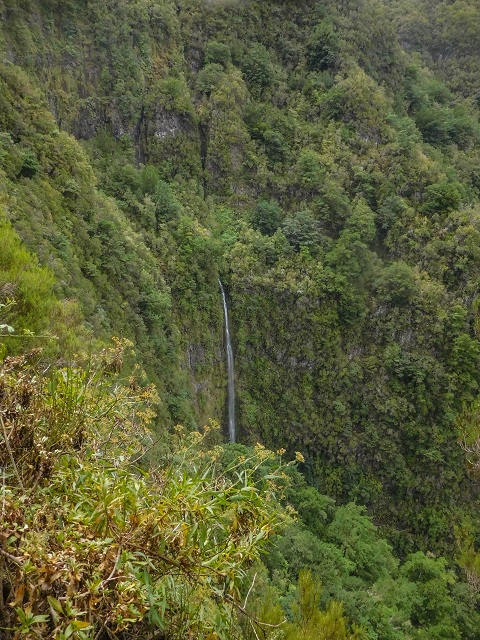 25 de agosto de 2017 Na Vereda Pau Branco de Ginjas a Estanquinhos — Até à Madre da Levada dos Pombais inf e de volta ao caminho para a levada de cima — foto 5