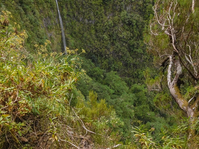 25 de agosto de 2017 Na Vereda Pau Branco de Ginjas a Estanquinhos — Até à Madre da Levada dos Pombais inf e de volta ao caminho para a levada de cima — foto 6