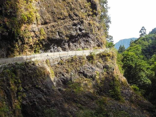 25 de agosto de 2017 Na Vereda Pau Branco de Ginjas a Estanquinhos — Na Levada da Faja do Rodrigues até ao desvio da Vereda Pau Branco — foto 7