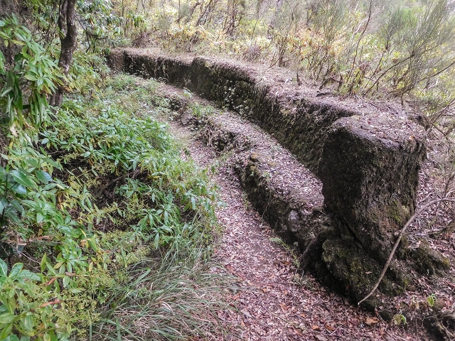 25 de agosto de 2017 Na Vereda Pau Branco de Ginjas a Estanquinhos — Até à Madre da Levada dos Pombais inf e de volta ao caminho para a levada de cima — foto 9