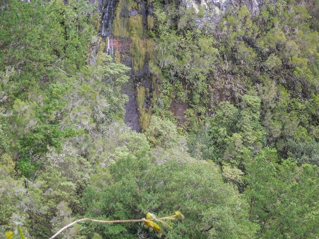 25 de agosto de 2017 Na Vereda Pau Branco de Ginjas a Estanquinhos — Até à Madre da Levada dos Pombais inf e de volta ao caminho para a levada de cima — foto 11