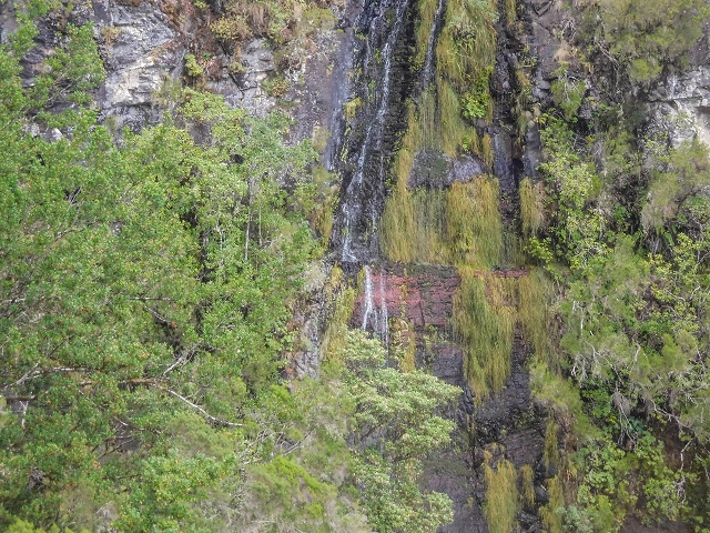 25 de agosto de 2017 Na Vereda Pau Branco de Ginjas a Estanquinhos — Até à Madre da Levada dos Pombais inf e de volta ao caminho para a levada de cima — foto 12