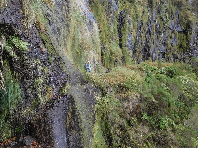 25 de agosto de 2017 Na Vereda Pau Branco de Ginjas a Estanquinhos — Até à Madre da Levada dos Pombais inf e de volta ao caminho para a levada de cima — foto 14