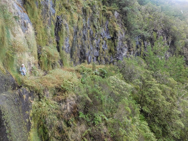 25 de agosto de 2017 Na Vereda Pau Branco de Ginjas a Estanquinhos — Até à Madre da Levada dos Pombais inf e de volta ao caminho para a levada de cima — foto 15