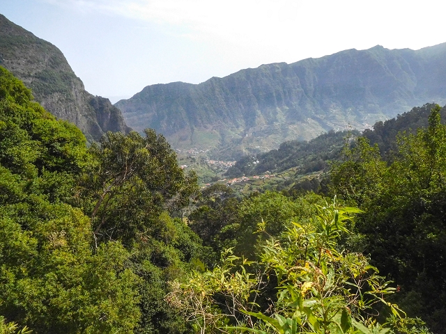 25 de agosto de 2017 Na Vereda Pau Branco de Ginjas a Estanquinhos — Na Levada da Faja do Rodrigues até ao desvio da Vereda Pau Branco — foto 8