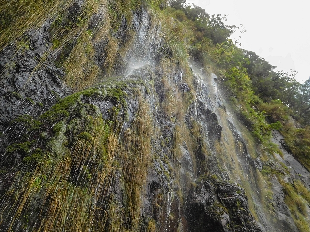 25 de agosto de 2017 Na Vereda Pau Branco de Ginjas a Estanquinhos — Até à Madre da Levada dos Pombais inf e de volta ao caminho para a levada de cima — foto 21