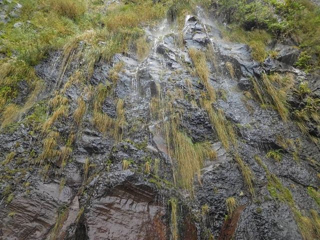 25 de agosto de 2017 Na Vereda Pau Branco de Ginjas a Estanquinhos — Até à Madre da Levada dos Pombais inf e de volta ao caminho para a levada de cima — foto 24