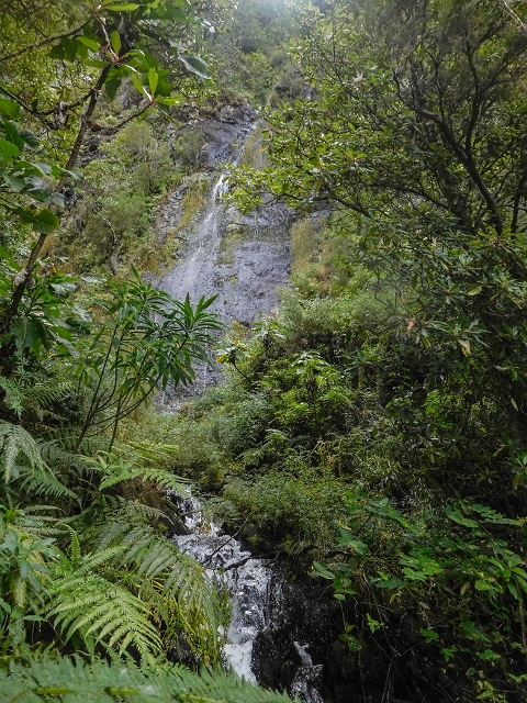 25 de agosto de 2017 Na Vereda Pau Branco de Ginjas a Estanquinhos — Descida da Madre e continuação da subida até à Paul da Serra — foto 1