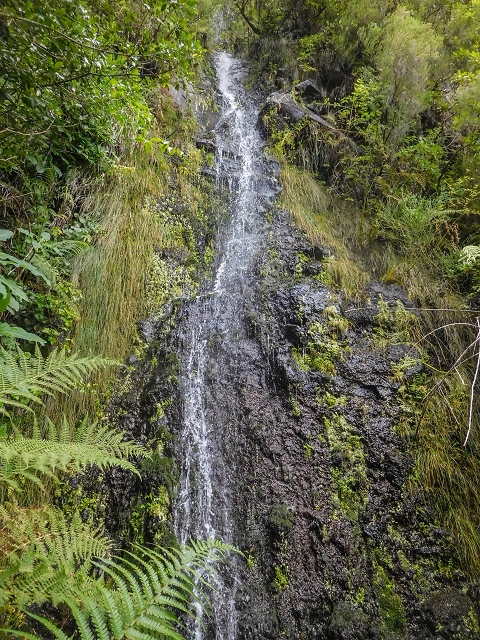 25 de agosto de 2017 Na Vereda Pau Branco de Ginjas a Estanquinhos — Descida da Madre e continuação da subida até à Paul da Serra — foto 2