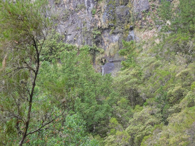 25 de agosto de 2017 Na Vereda Pau Branco de Ginjas a Estanquinhos — Descida da Madre e continuação da subida até à Paul da Serra — foto 3
