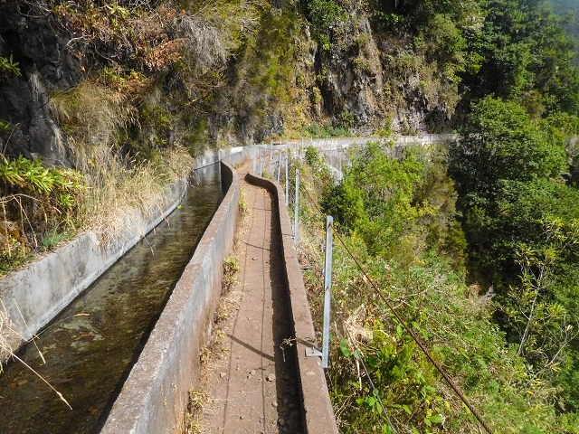 25 de agosto de 2017 Na Vereda Pau Branco de Ginjas a Estanquinhos — Na Levada da Faja do Rodrigues até ao desvio da Vereda Pau Branco — foto 9