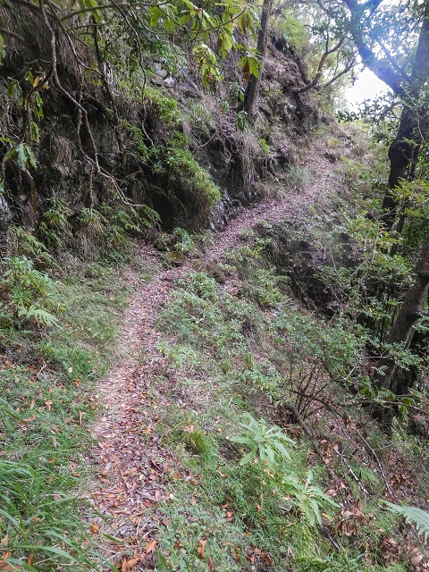 25 de agosto de 2017 Na Vereda Pau Branco de Ginjas a Estanquinhos — Descida da Madre e continuação da subida até à Paul da Serra — foto 4