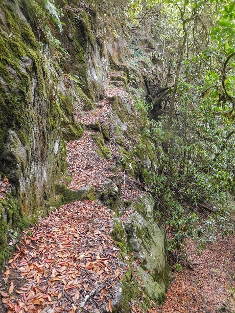 25 de agosto de 2017 Na Vereda Pau Branco de Ginjas a Estanquinhos — Descida da Madre e continuação da subida até à Paul da Serra — foto 5