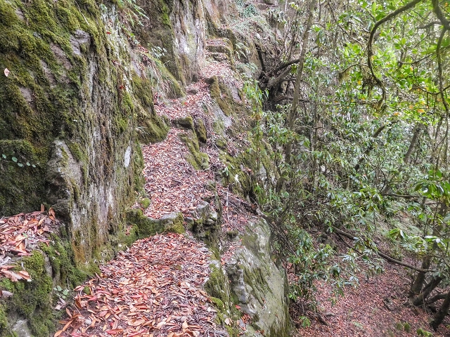25 de agosto de 2017 Na Vereda Pau Branco de Ginjas a Estanquinhos — Descida da Madre e continuação da subida até à Paul da Serra — foto 6