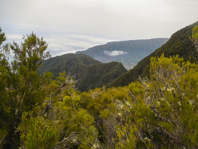 25 de agosto de 2017 Na Vereda Pau Branco de Ginjas a Estanquinhos — Descida da Madre e continuação da subida até à Paul da Serra — foto 13