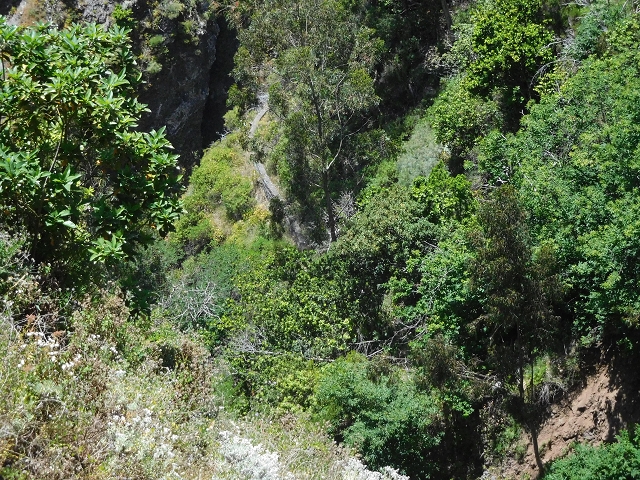26 June 2016 Curral circuit — Old inaccessible course of the Levada do Curral e Castelejo — photo 2