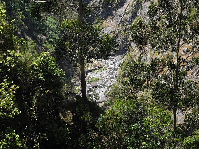 26 June 2016 Curral circuit — Old inaccessible course of the Levada do Curral e Castelejo — photo 4