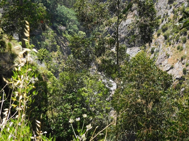 26 June 2016 Curral circuit — Old inaccessible course of the Levada do Curral e Castelejo — photo 5