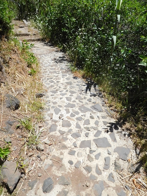 26 June 2016 Curral circuit — Path to Faja Escura — photo 2