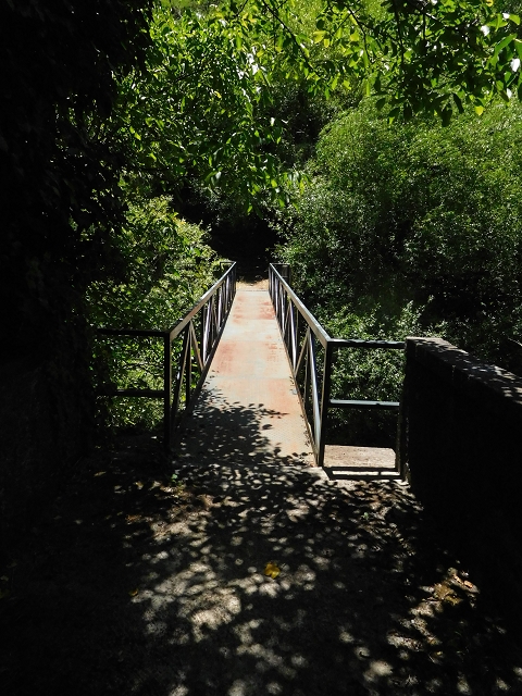 26 June 2016 Curral circuit — Path to Faja Escura — photo 3