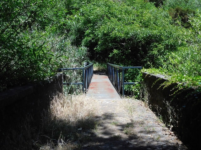 26 June 2016 Curral circuit — Path to Faja Escura — photo 8