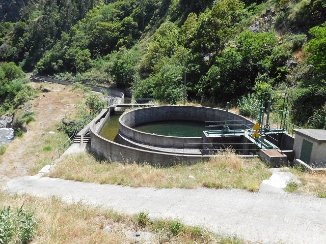 26 June 2016 Curral circuit — Stream impoundment below Faja Escura — photo 8