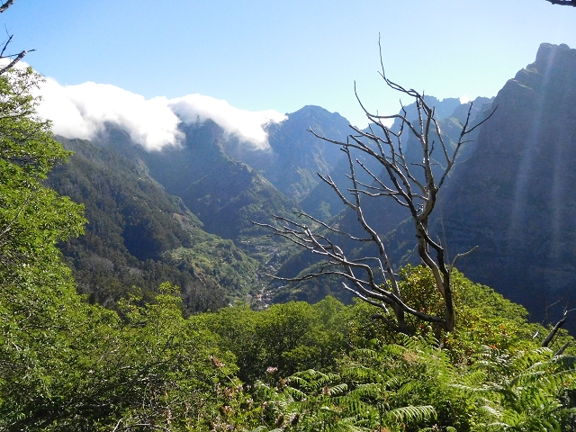 26 June 2016 Curral circuit — Ascent from Faja Escura to Boca de Cerro — photo 13