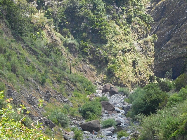 26 June 2016 Curral circuit — Old inaccessible course of the Levada do Curral e Castelejo — photo 1