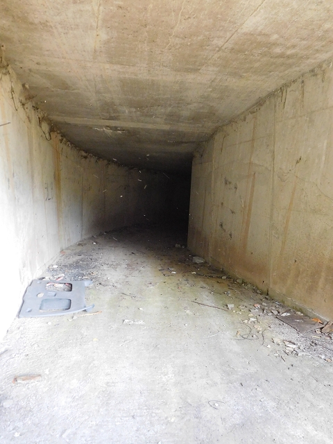 26 June 2016 Curral circuit — Junction of the Tunel do Pico Grande with the Tunel da Faja Escura — photo 3