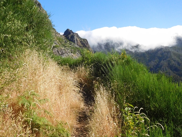 26 June 2016 Curral circuit — Ascent from Faja Escura to Boca de Cerro — photo 14