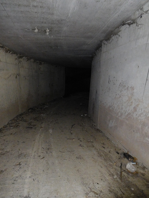 26 June 2016 Curral circuit — Junction of the Tunel do Pico Grande with the Tunel da Faja Escura — photo 6