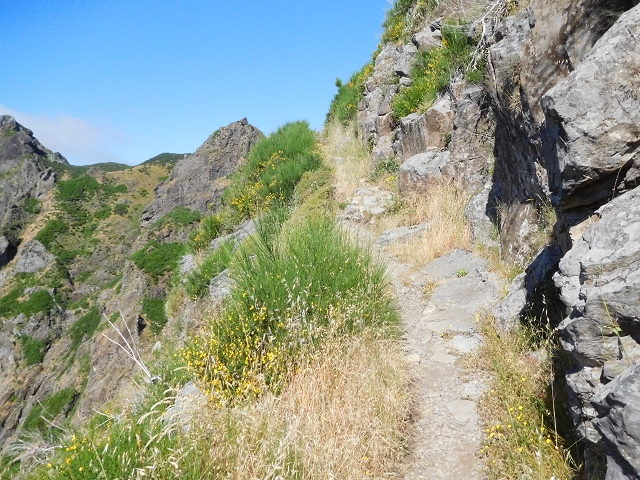 26 June 2016 Curral circuit — Ascent from Faja Escura to Boca de Cerro — photo 22