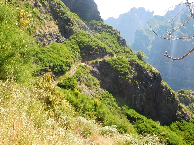 26 June 2016 Curral circuit — Ascent from Faja Escura to Boca de Cerro — photo 28