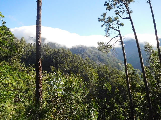 26 June 2016 Curral circuit — Ascent from Faja Escura to Boca de Cerro — photo 3