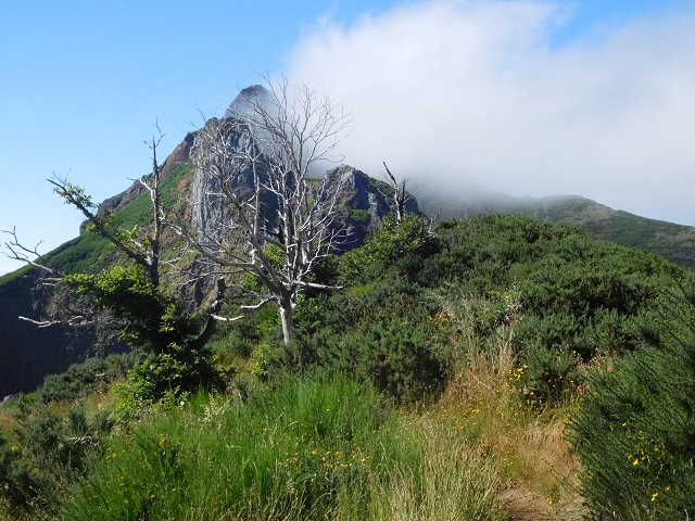 26 June 2016 Curral circuit — Ascent from Faja Escura to Boca de Cerro — photo 32