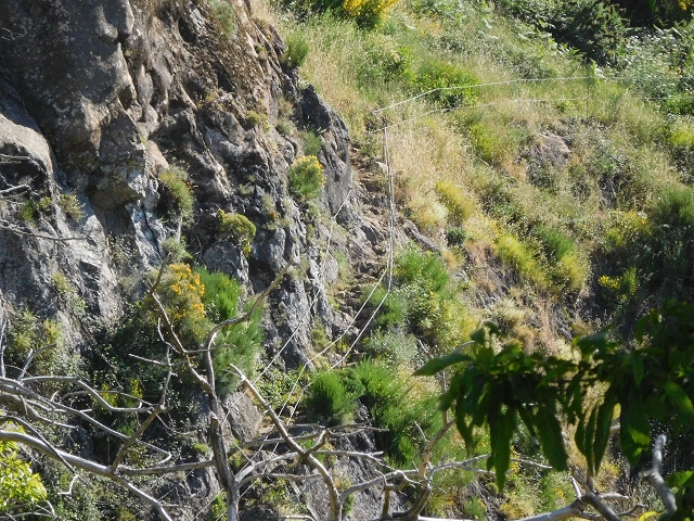 26 June 2016 Curral circuit — Ascent from Faja Escura to Boca de Cerro — photo 33