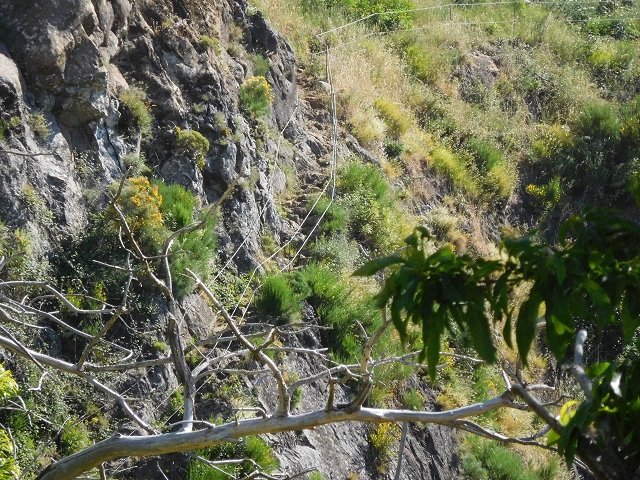 26 June 2016 Curral circuit — Ascent from Faja Escura to Boca de Cerro — photo 34