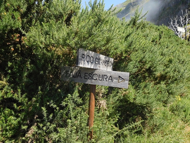 26 June 2016 Curral circuit — Ascent from Faja Escura to Boca de Cerro — photo 37