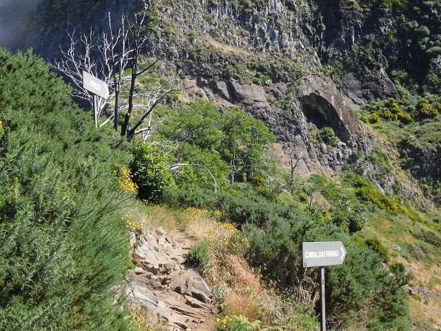 26 June 2016 Curral circuit — Ascent from Faja Escura to Boca de Cerro — photo 38