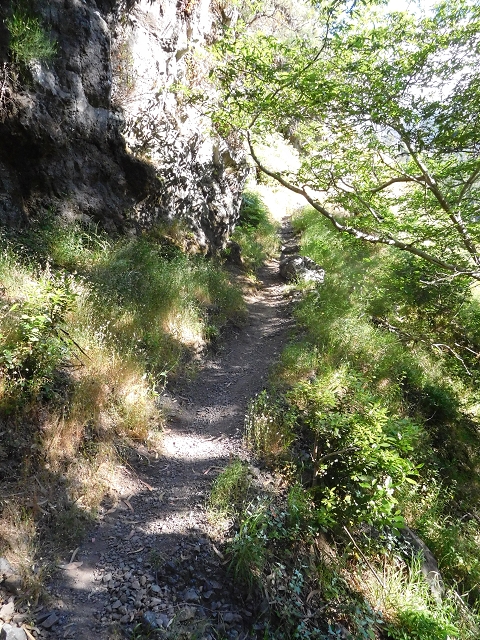 26 June 2016 Curral circuit — Ascent from Faja Escura to Boca de Cerro — photo 4
