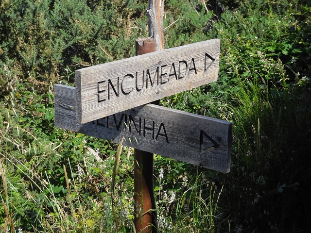 26 June 2016 Curral circuit — Ascent from Faja Escura to Boca de Cerro — photo 40