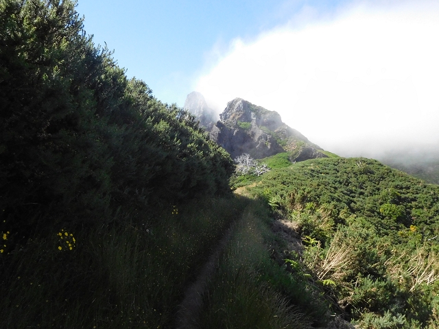 26 June 2016 Curral circuit — On to Boca da Corrida — photo 2