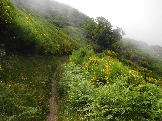 26 June 2016 Curral circuit — On to Boca da Corrida — photo 5