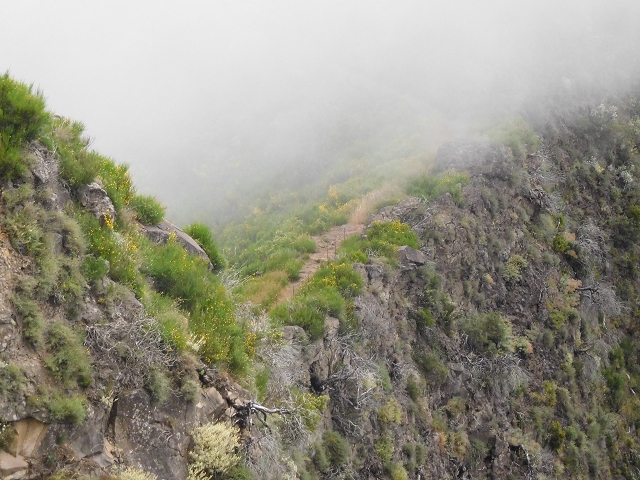 26 June 2016 Curral circuit — On to Boca da Corrida — photo 13