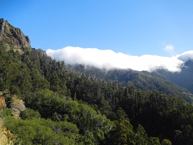 26 June 2016 Curral circuit — Ascent from Faja Escura to Boca de Cerro — photo 6