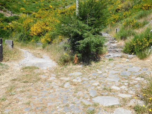 26 June 2016 Curral circuit — On to Boca da Corrida — photo 28