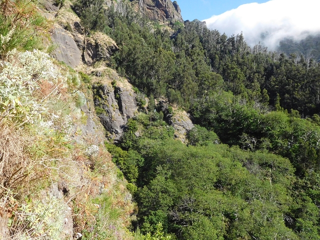 26 June 2016 Curral circuit — Ascent from Faja Escura to Boca de Cerro — photo 7